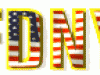 fdny_flag_waving