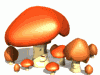 mushrooms_happy