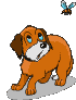 Gif animata con cane marrone e farfalla Cane marrone