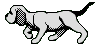 gif animata con cane grigio che corre cane grigio