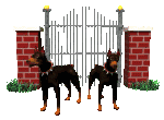 gif animata con due cani neri di guardia cani neri