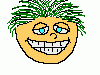 BOBO