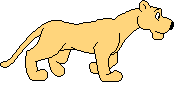 gif animata con felino marrone che corre piano felino marrone