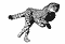 gif animata con felino grigio che corre felino grigio