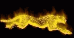gif animata con felino giallo infuocato felino giallo