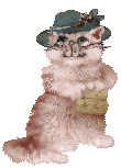gif animata con gatto marrone e bianco sporco in partenza gatto marrone