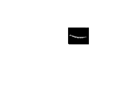 gif animata con gatto bianco e nero che strappa foglio gatto nero