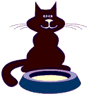 gif animata con gatto nero e latte gatto nero