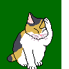 gif animata con gatto bianco, nero e grigio che si tocca il muso con la zampetta gatto bianco