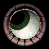 WEB0784