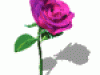 ga_pia003