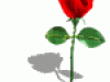ga_pia004