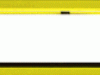 WEB0421