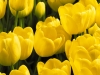 0042