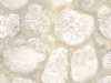 WEB0048