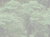 WEB0054