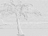 WEB0056