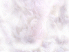 WEB0065