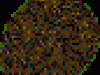 ANI019