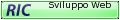 Ricercatore del Netwok GT sezione Sviluppo WEB
